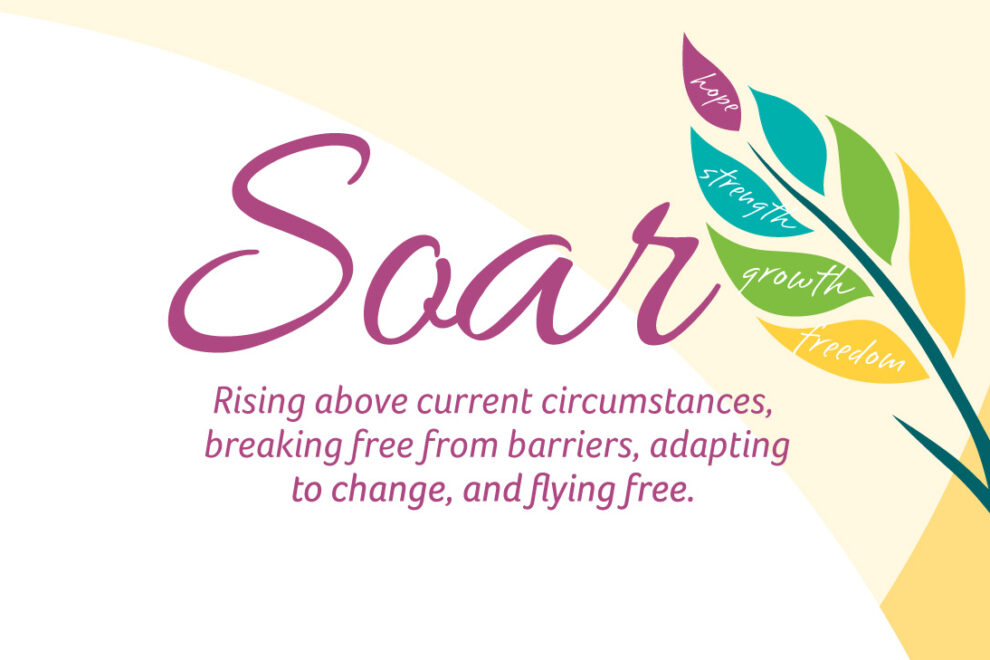 SOAR-HEADER